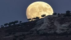 العراق يترقب ظهور القمر الأزرق الصغير واقترانه بنجم قلب العقرب نهاية أيار الجاري