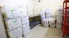 الصحة تتلف نحو 239 كيلوغراماً من المواد المخدرة في بغداد