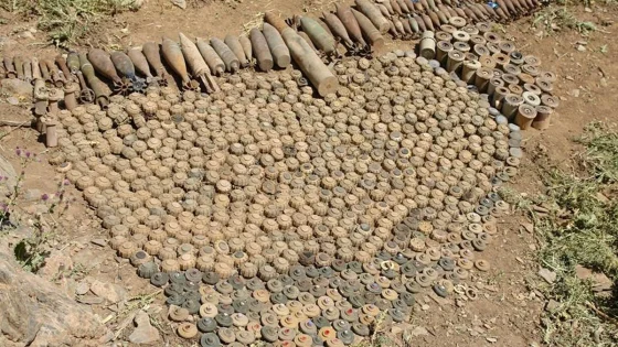 العراق الأخضر”: 4800 كم مربع ملوثة بالألغام والبلاد تحتاج 15 سنة للتخلص منها