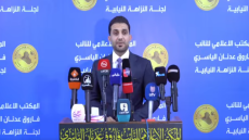 نائب: الدولة امتنعت عن تعيين الممرضين خشية احتجاج فئات أخرى
