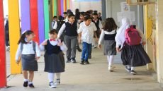 وزارة التربية: نظام إدارة المعلومات سيرسل لأهالي الطلبة تقارير عن درجاتهم ومستواهم