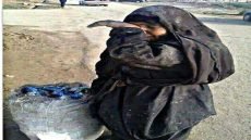 صولة الفجر مطالبات شعبية بمواصلة مكافحة الفساد وتعزيز الشفافية والمساءلة
