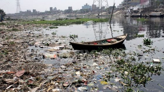 تلوث المياه أمام البرلمان.. مرصد يحذر من قفزة بإصابات الفشل الكلوي