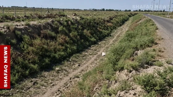 العطش يضرب 40 قرية جنوب ديالى ومطالبات عاجلة بإنقاذ نهر خريسان