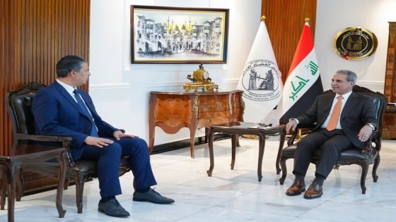 كريم حمادي والقضاء العراقي.. حضور قيادي يرسخ مكانة الإعلام الوطني كشريك في بناء الدولة