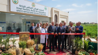 افتتاح البنك الوطني الجيني الوراثي للبذور في بغداد