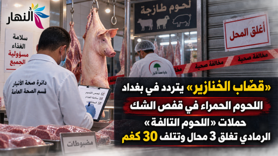 قصاب الخنازير” تتردد في بغداد واللحوم الحمراء في قفص الشك..حملات “اللحوم التالفة”.. الرمادي تغلق 3 محال وتتلف 30 كغم