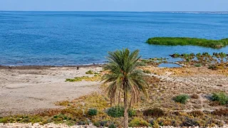 الحبانية تقترب من الامتلاء.. المياه تعود والسياحة وأرزاق الصيادين تنتعش