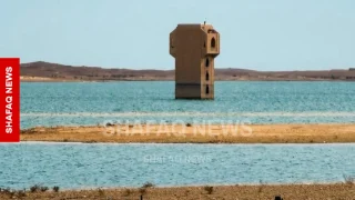 الحياة تعود لبحيرة عنه.. المياه والأسماك تنتعشان بعد سنوات الجفاف